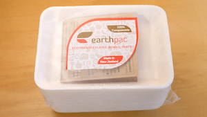 Small Tray (25) - earthpac