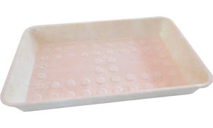 Products: Hospital Tray (300) - earthpac
