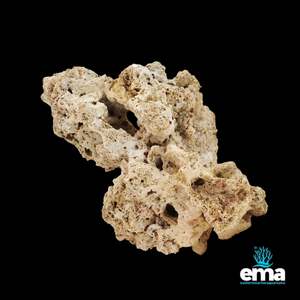Dry Goods: Natural Pukani Reef Rock