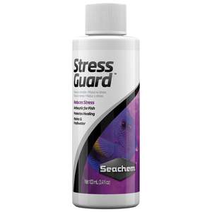 Dry Goods: Seachem StressGuard