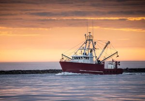 Products: Reliable Mercury Outboard Dealer in NZ Now