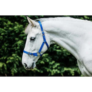 Flair: Flair Heavy Duty Nylon Web Halter