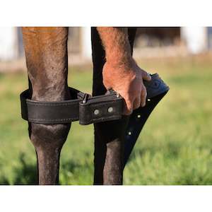 Easts 1: Easts Made Leather Figure 8 Front Leg Strap