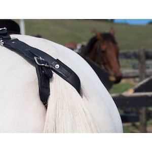 Easts 1: Easts Leather Crupper