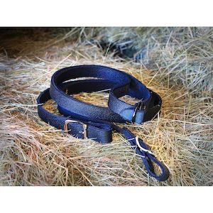 Easts 1: Easts Leather Reins
