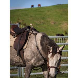 Easts Leather Breastplate Martingale 25mm