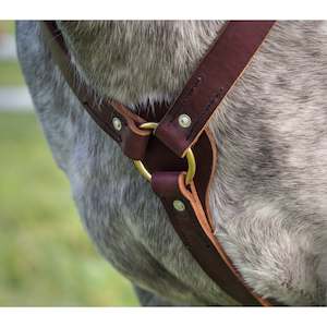 Easts Latigo Leather Breastplate Martingale Brass Fittings 25mm