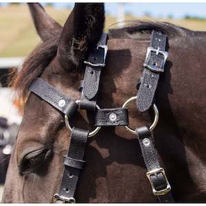 East Bridles Reins Halters: Easts Leather Double Head Station Bridle