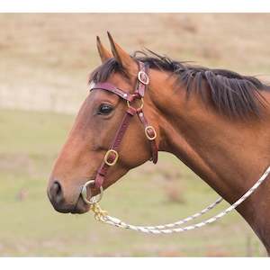 East Bridles Reins Halters: Easts Latigo Leather Double Stitched Station Bridle with Brass Fittings
