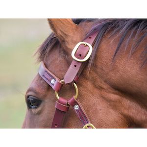 East Bridles Reins Halters: Easts Latigo Leather Single Head Bridle with Noseband and Brass Fittings