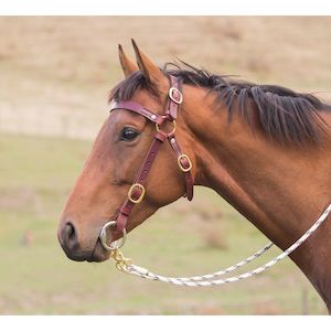 East Bridles Reins Halters: Easts Latigo Leather Station Bridle Brass Fittings XL