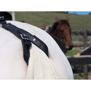 East Cruppers Saddle Bags: Easts Leather Double Strap Crupper