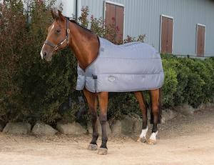 Horse: WeatherBeeta Comfitec Liner II 220g