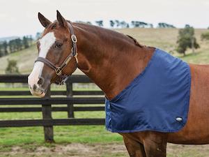 Horse: WeatherBeeta Cotton Shoulder Guard