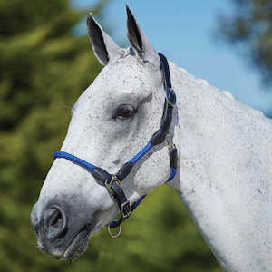 Kincade Leather Rope Headcollar