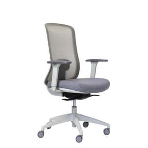 Ergonomic Office Chairs: Buro Elan Mesh Back Chair