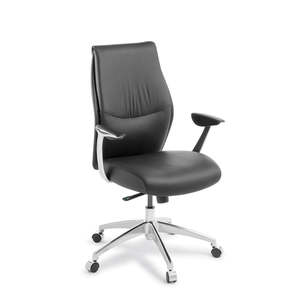 Computer Chairs: Eden Domain chair