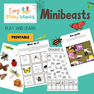 Products: Minibeasts Small World Printable Resource