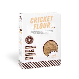 Discountable: Cricket Flour 100g