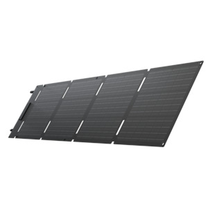 Solar Panel: EcoFlow 60W Portable Solar Panel