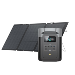 EcoFlow Delta 2 + 160W Solar Panel Bi-facial