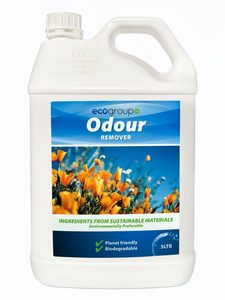 Bathroom Cleaning: Odour Remover
