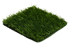 Premier FIFA 40