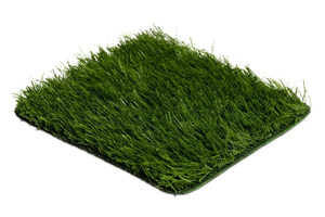 Premier FIFA 45