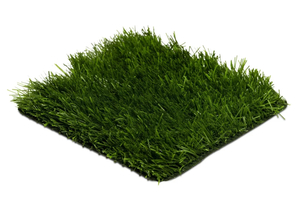 Premier FIFA 50