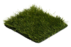 Premier FIFA 60