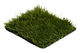 Premier FIFA 60