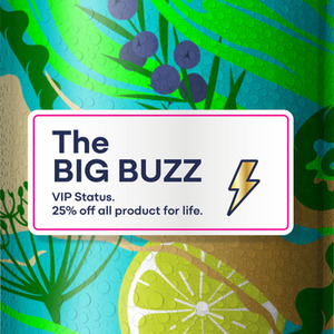 The Big Buzz Donation