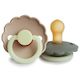 Daisy Night Latex Pacifier Portobello / Croissant