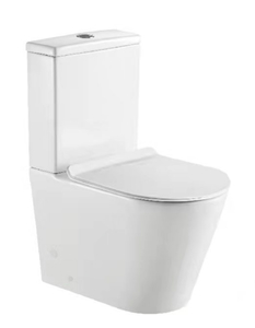 Bathrooms Back to Wall Toilet and Smart Seat Functions – Ecosmart Group