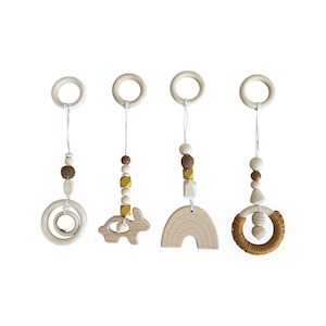 Ecosprout Playgym Toy 4 Pce Set Rainbow: Cinnamon