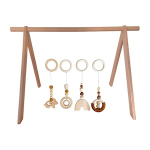 Playgym Bundle with Rainbow Toy Set : Cinnamon