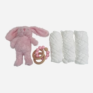 Wash Cloths: Gift Box : 3 Pk Cloths & Mini Pixie Bunny