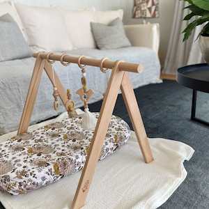 Ecosprout Wooden Playgym : Beechwood