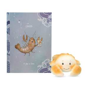 Baby Teether : Cancer