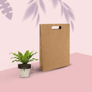 All: Medium Punched paper bags – Sets of 30