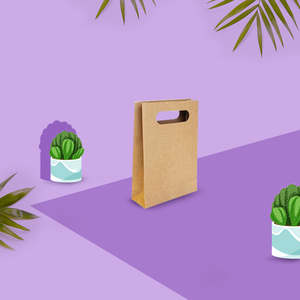 All: Extra Small Punched paper bags – Sets of 50