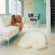 Natural Sheepskin Rug 4 piece