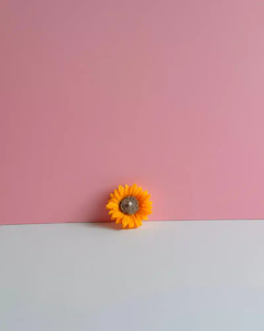 Products: Sunflower Candle - EcoWick