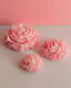 Peony (S/M/L) - EcoWick