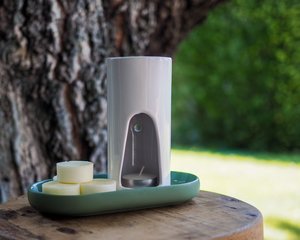 Products: Mandarin & Basil Coconut Wax Melts - Eddie & Lu