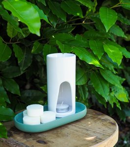 Products: Guava & Lychee Coconut Wax Melts - Eddie & Lu