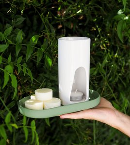 Products: Warm Ginger Coconut Wax Melts - Eddie & Lu