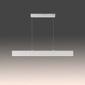 Led Pendant Lights: LED Pendant light Color change White 80100-1m