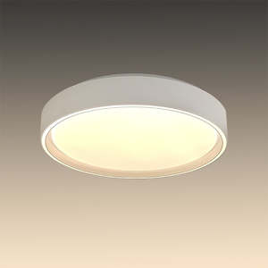 LED Ceiling light Color change White  6683