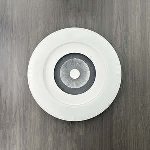 Ceiling light LED Color change 25403